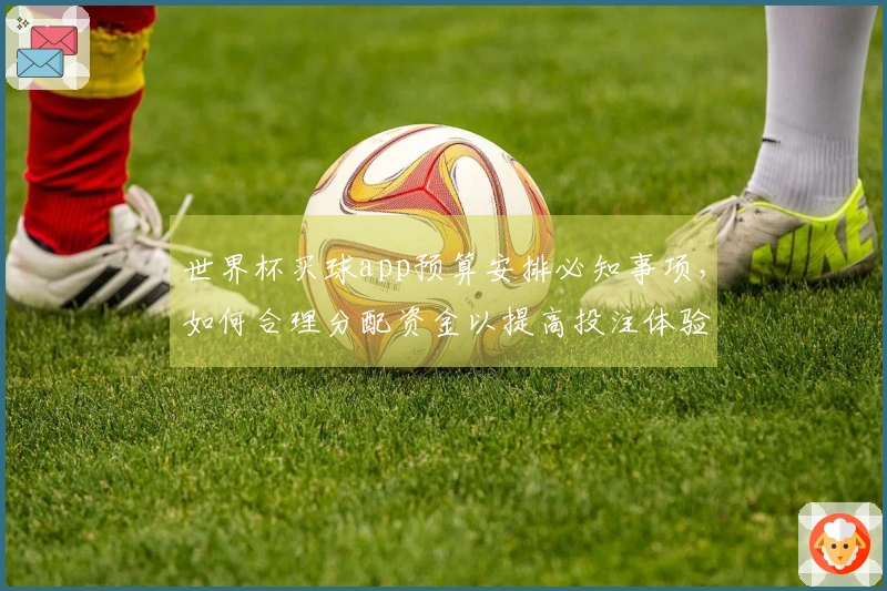 世界杯买球app预算安排必知事项，如何合理分配资金以提高投注体验