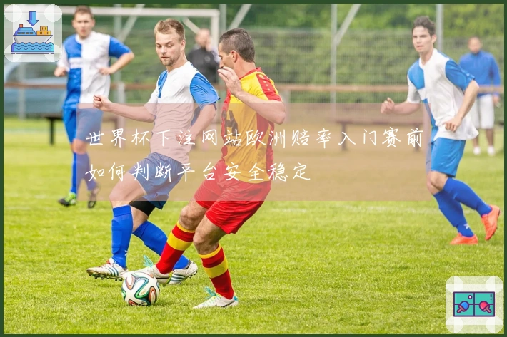 世界杯下注网站欧洲赔率入门赛前如何判断平台安全稳定