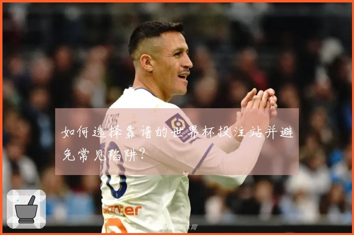 如何选择靠谱的世界杯投注站并避免常见陷阱？
