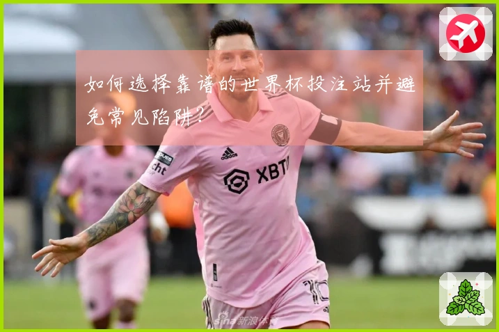 如何选择靠谱的世界杯投注站并避免常见陷阱？